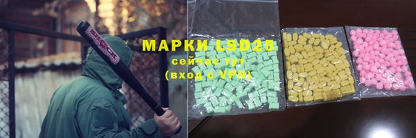 ГАЛЛЮЦИНОГЕННЫЕ ГРИБЫ Медвежьегорск