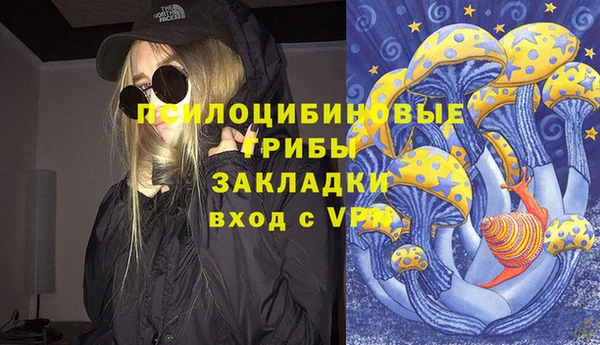 apvp Абаза